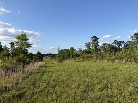 Sandy Hook Acreage on Hwy 48