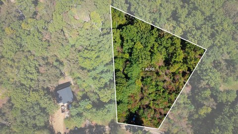 Vacant Lot, Blue Ridge, GA
