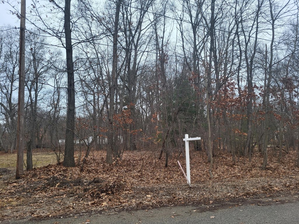 Picture 3