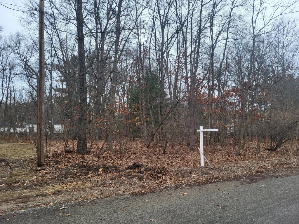 Picture 2