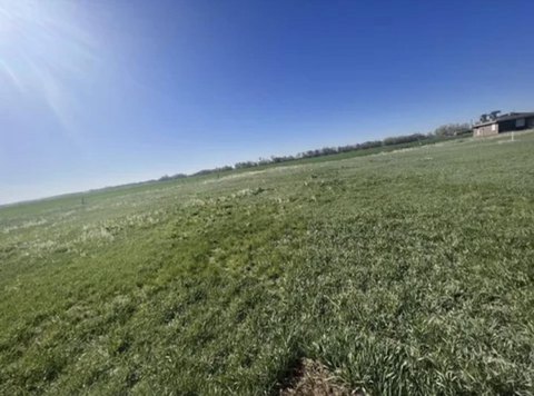 Residential Lot in Schuyler, NE