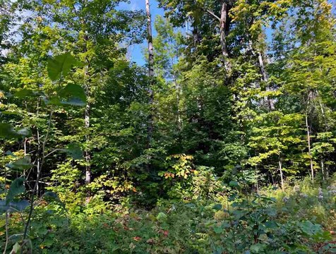 Lots/Land, Brutus, MI