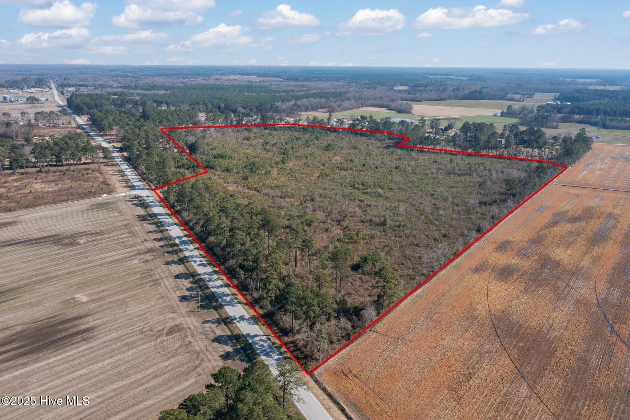Recreational Land Near Trenton, NC