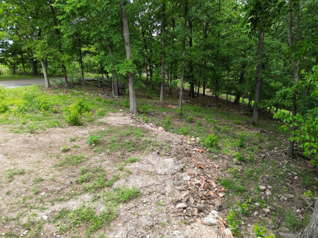 Picture 13