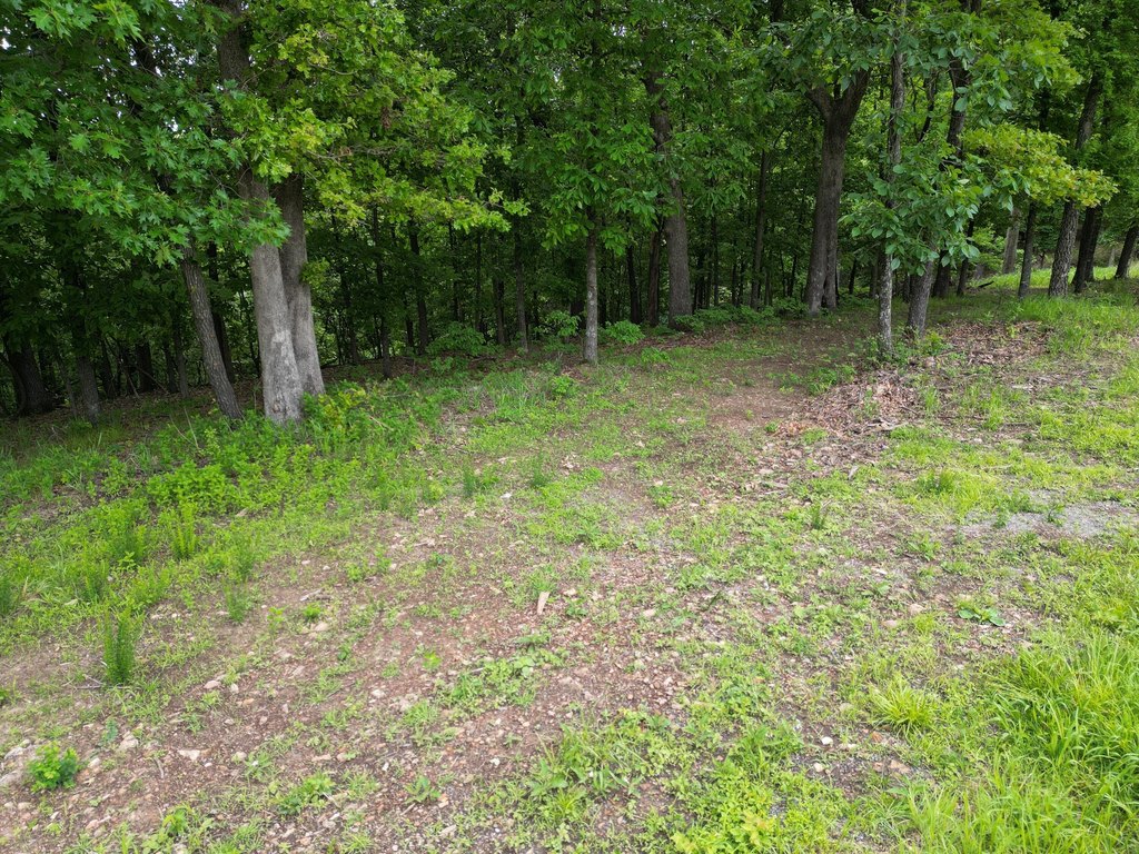 Picture 11