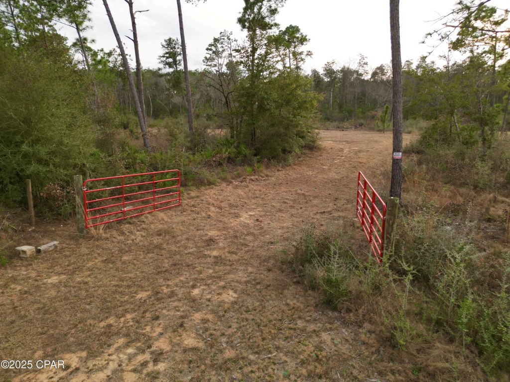 Picture 4