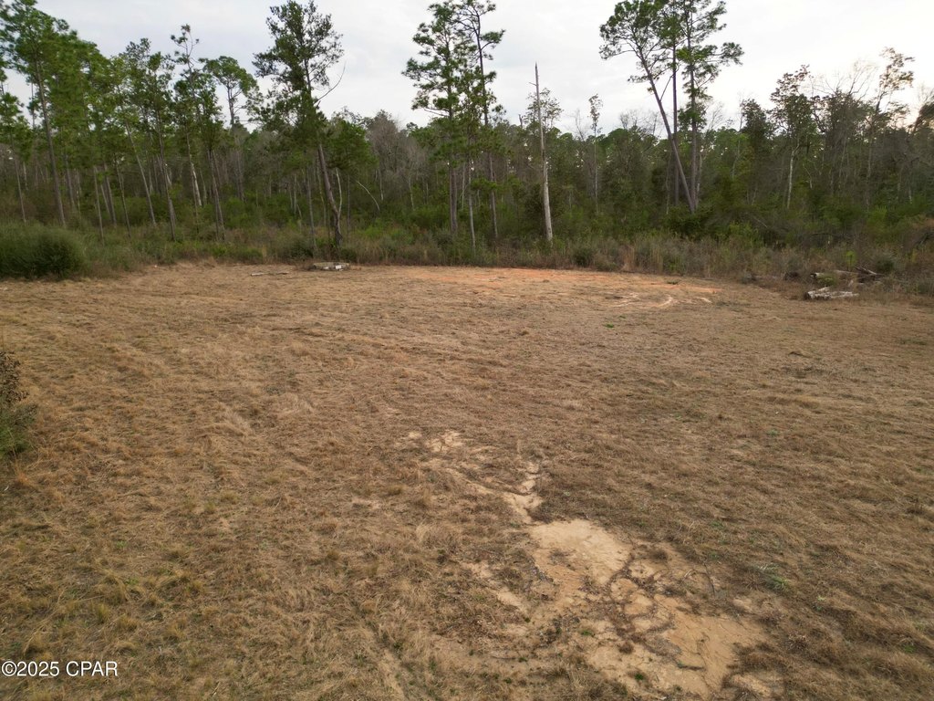 Picture 5