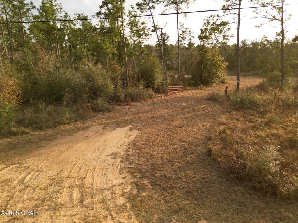 Picture 6