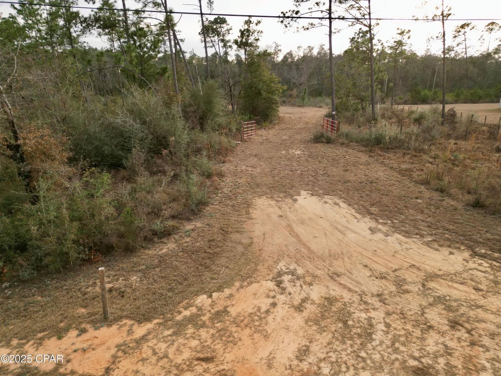 Picture 3