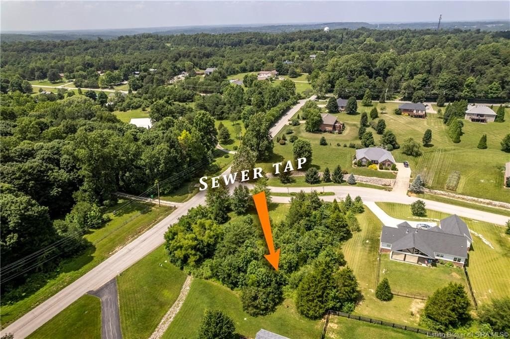 Picture 3