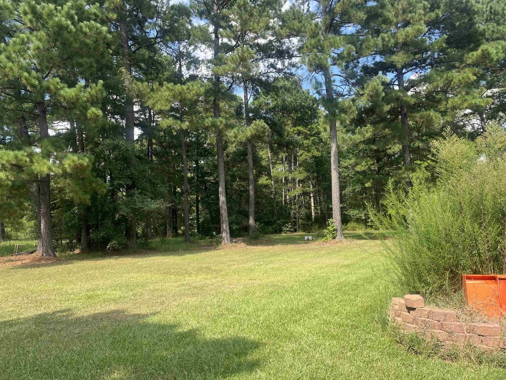 Picture 19