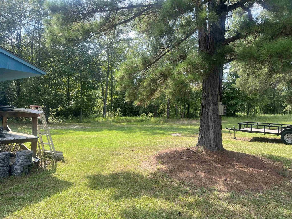 Picture 20