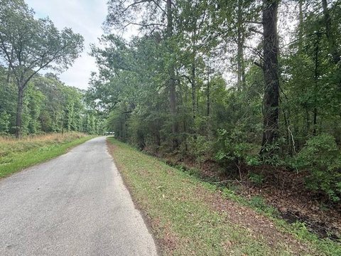 Timber Tract with Road Frontage