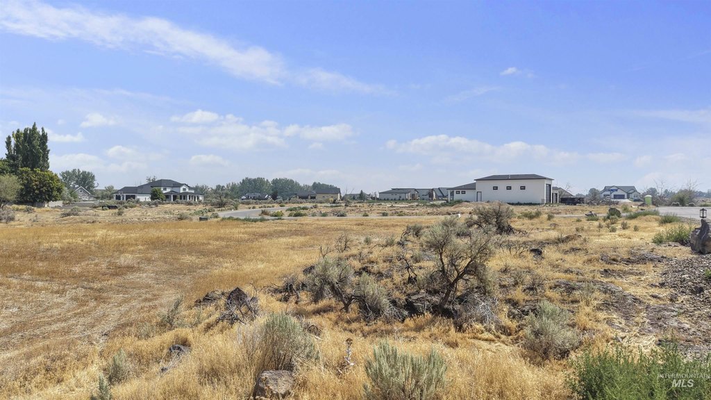 Picture 29
