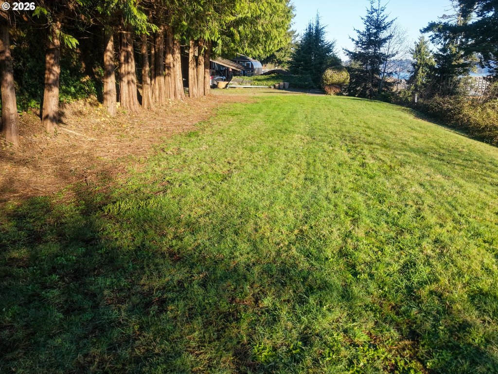 Picture 4