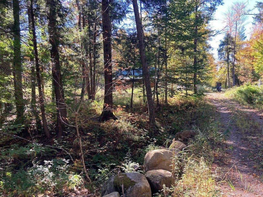 Picture 21
