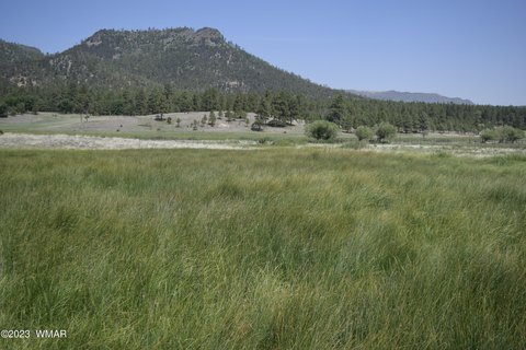 Land with Creek in Nutrioso