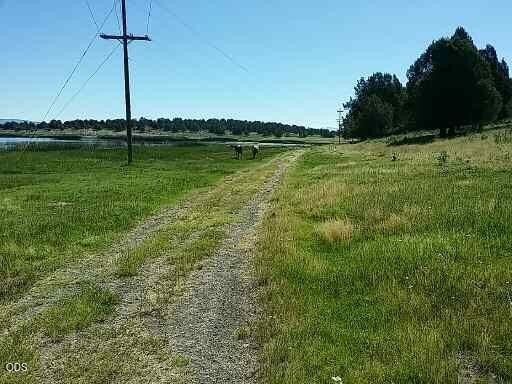 Picture 23