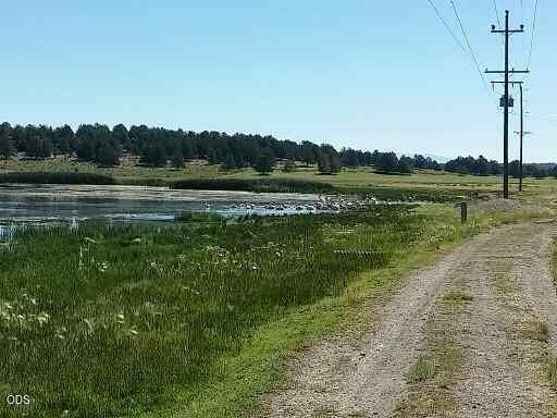 Picture 24
