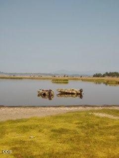 Picture 41