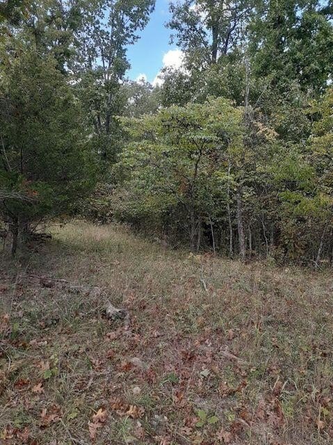 Wooded Land in Harrison County