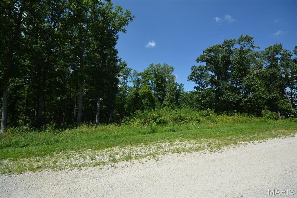 Picture 6