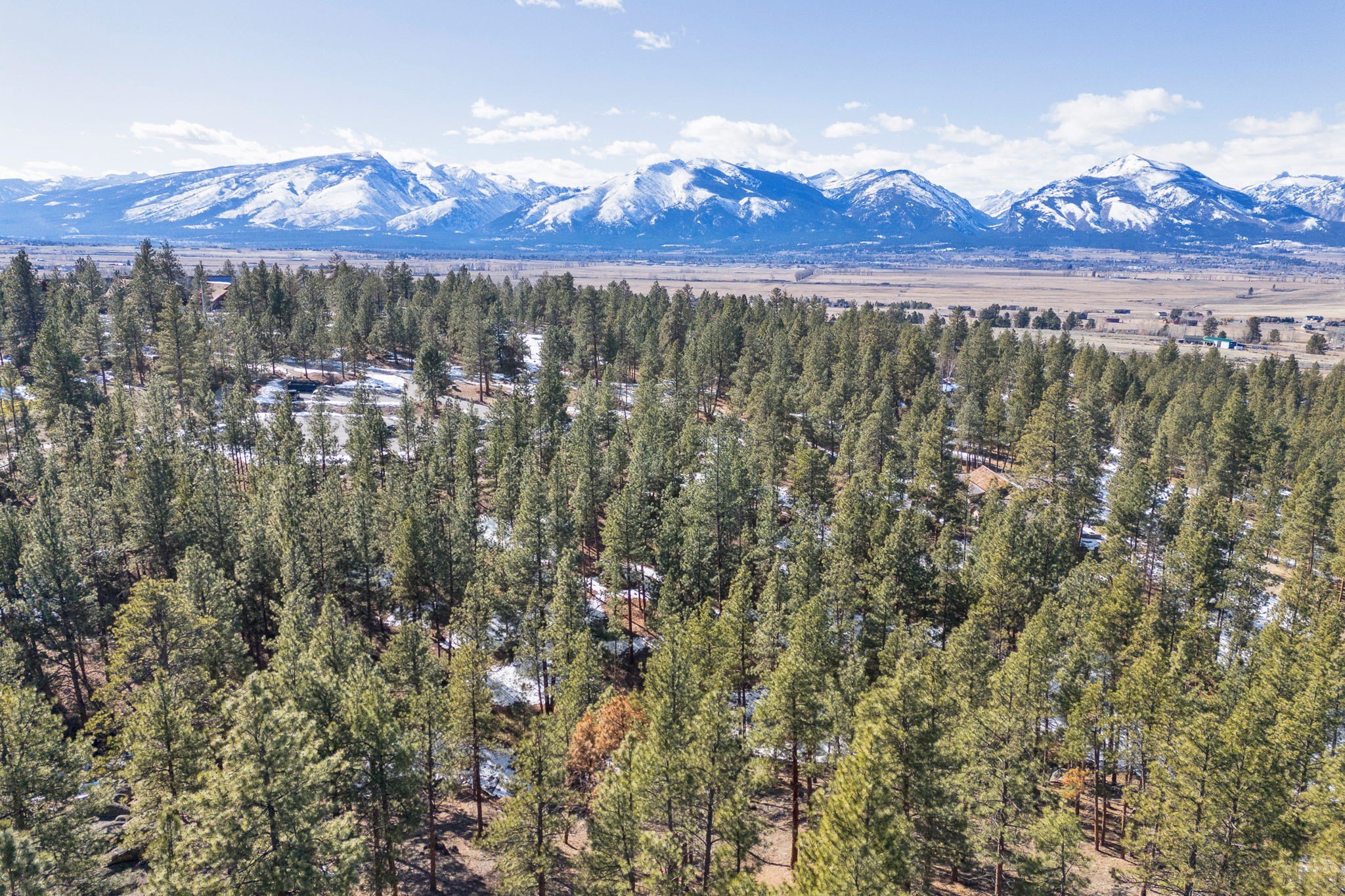 Stock Farm Homesite Opportunity