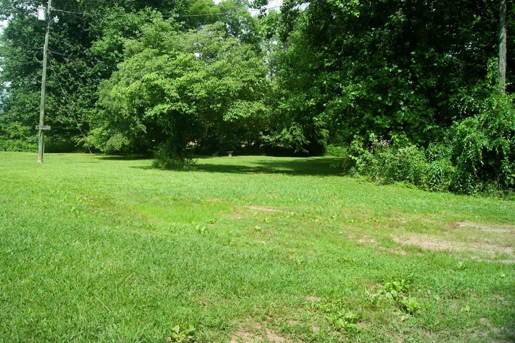 Picture 37