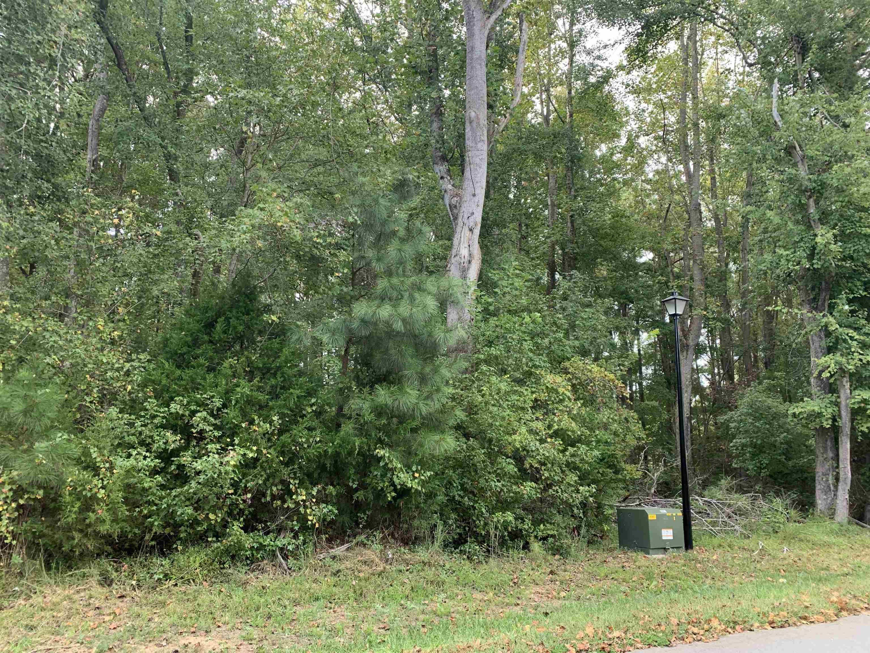 Wooded Lot in Custom Community