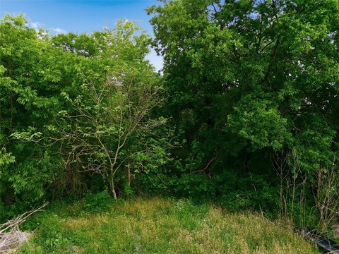 Land Investment Opportunity in Chilton