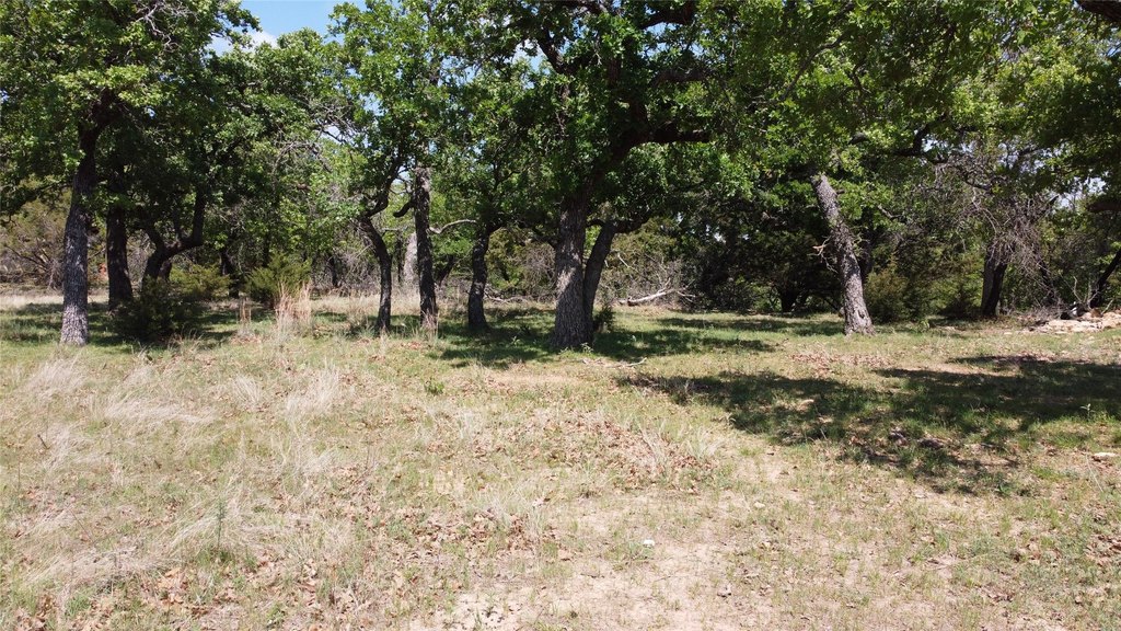 Picture 19