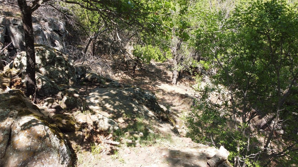 Picture 23