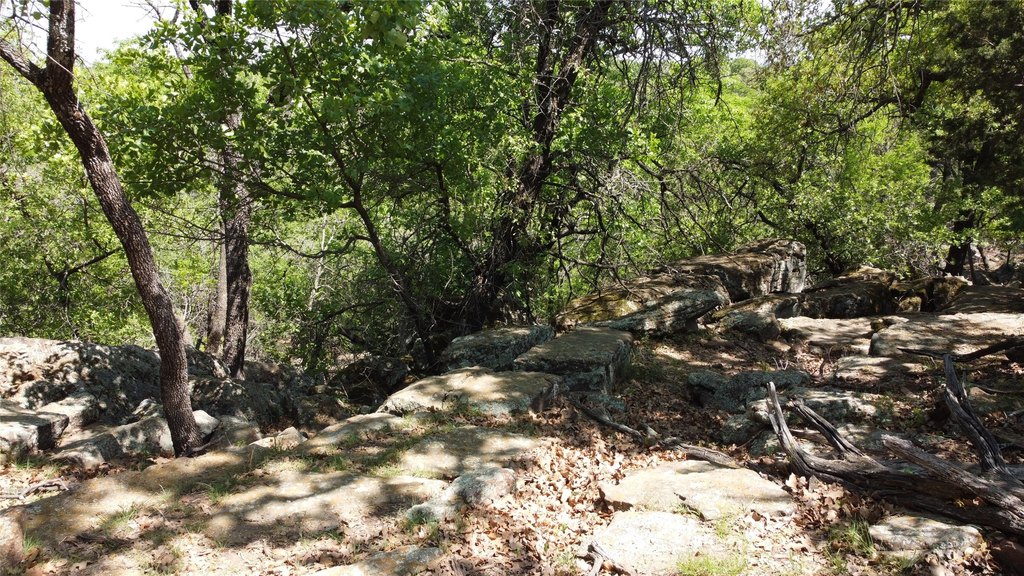 Picture 21