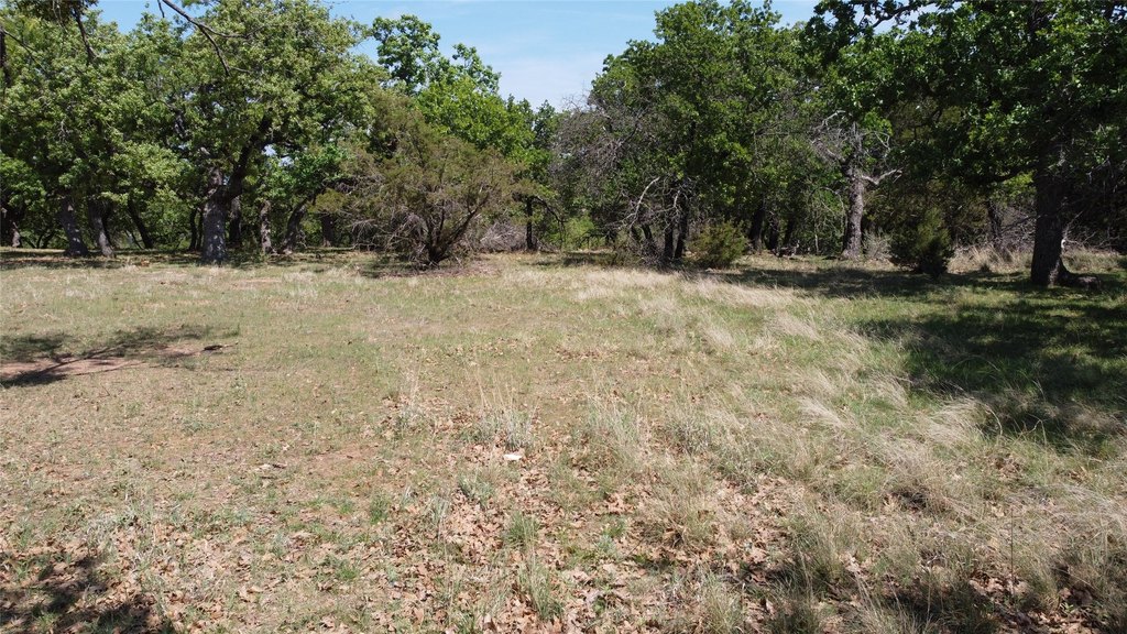 Picture 30