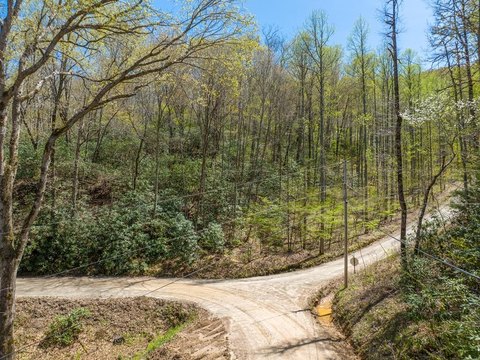 Otto, NC Land Opportunity