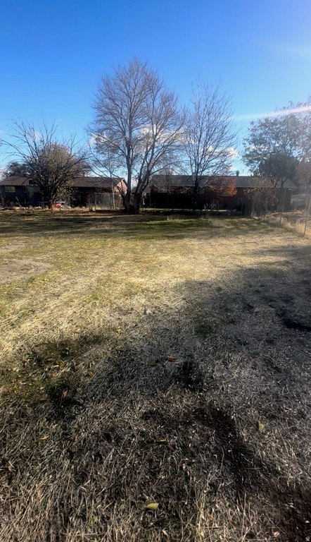 Picture 4
