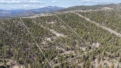 Timbered Mountain Hunting Land