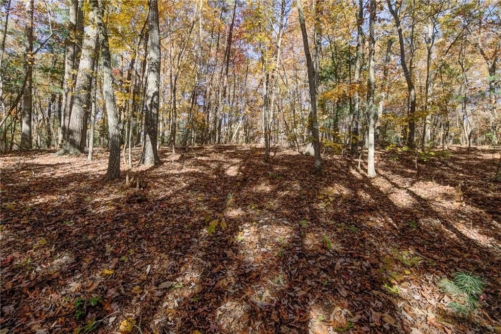 Scenic Dawsonville Residential Land