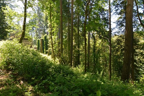 Longview, WA Wooded Building Lot