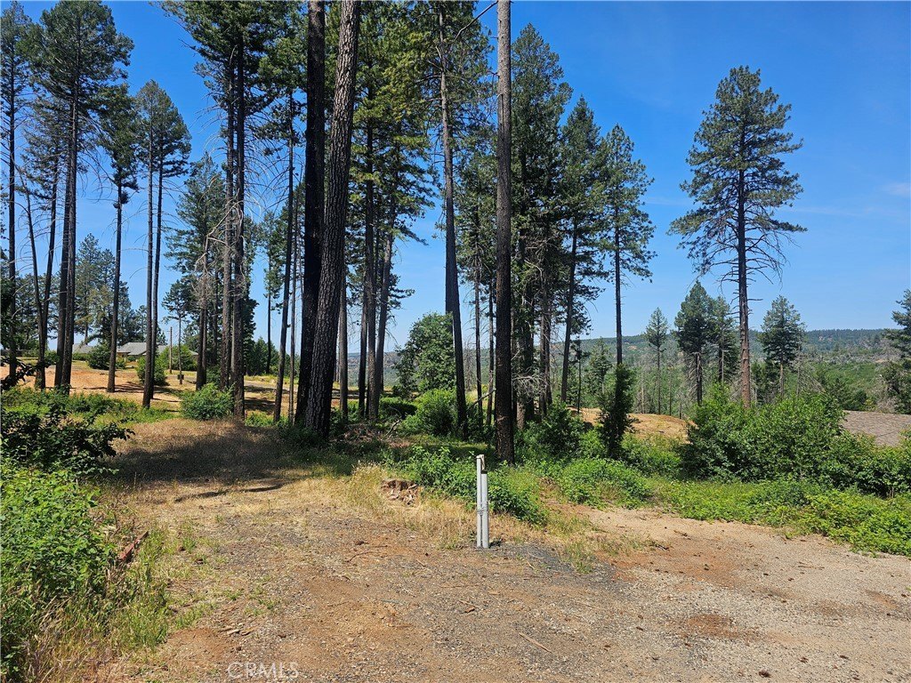 Secluded Paradise Lot with Canyon Views