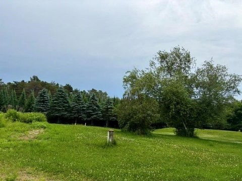 LAND - Wausau, WI