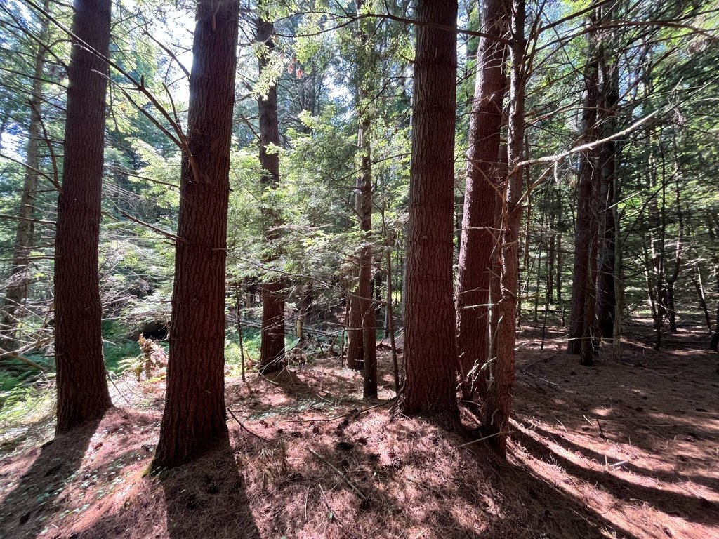 Picture 30