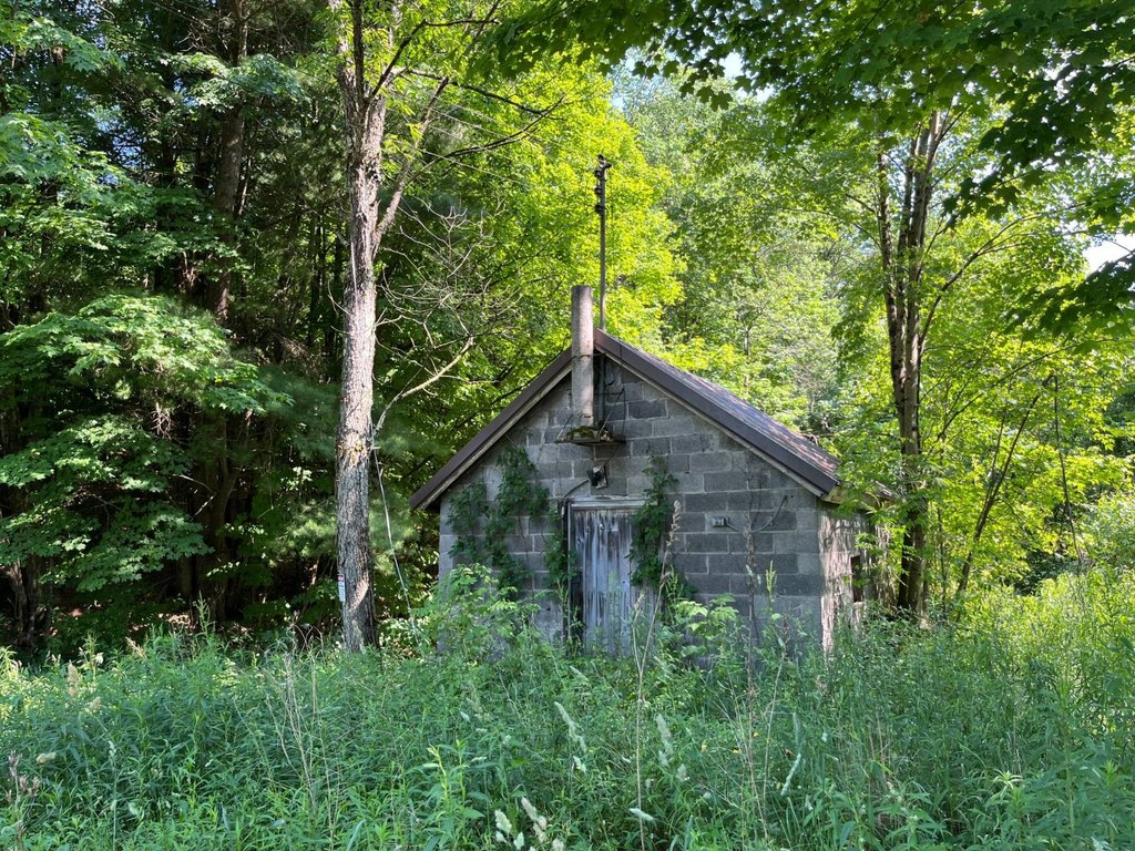 Picture 41