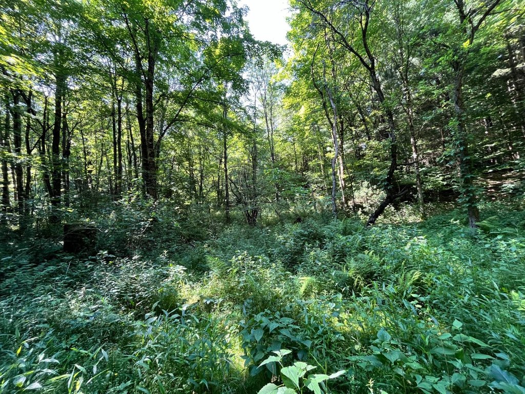 Picture 23