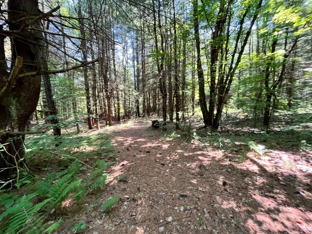 Picture 25