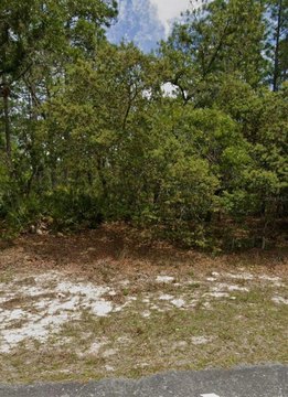 LAND - DUNNELLON, FL