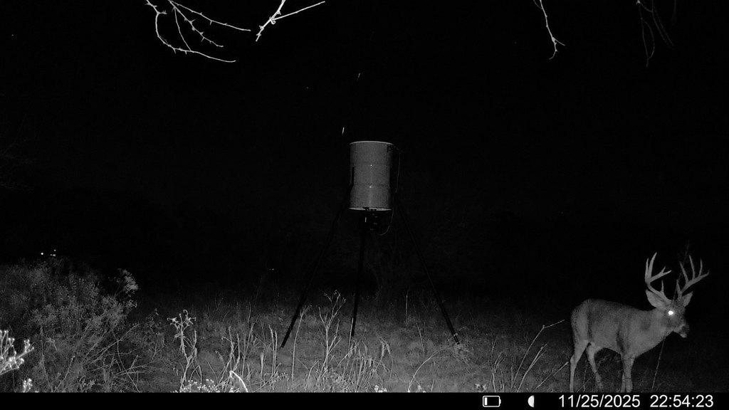 Picture 3