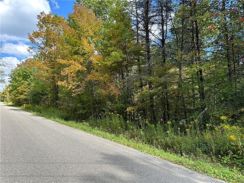 Picture 21