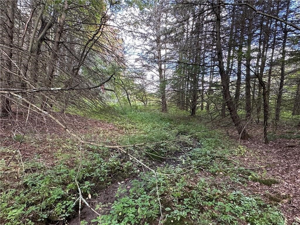 Picture 16