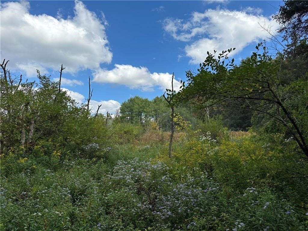 Picture 17